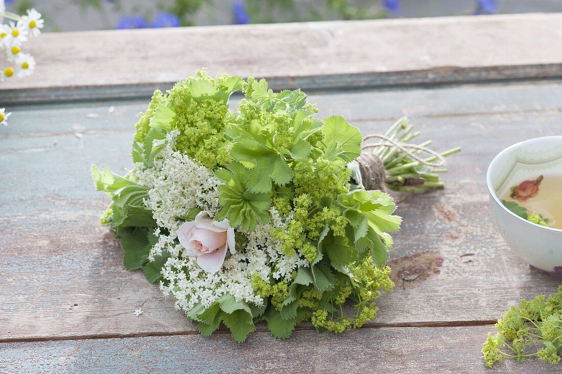 Small tea herb bouquet made with Alchemilla mollis (lady's mantle)