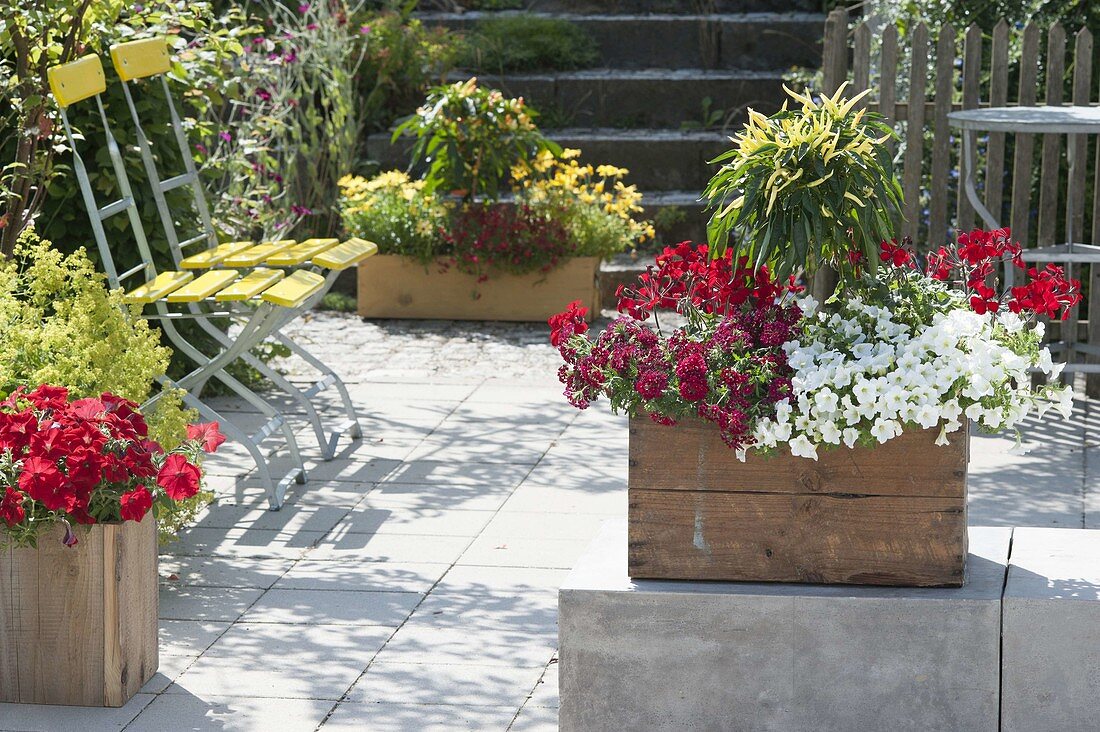 Terrace with homemade wooden boxes and yellow chairs