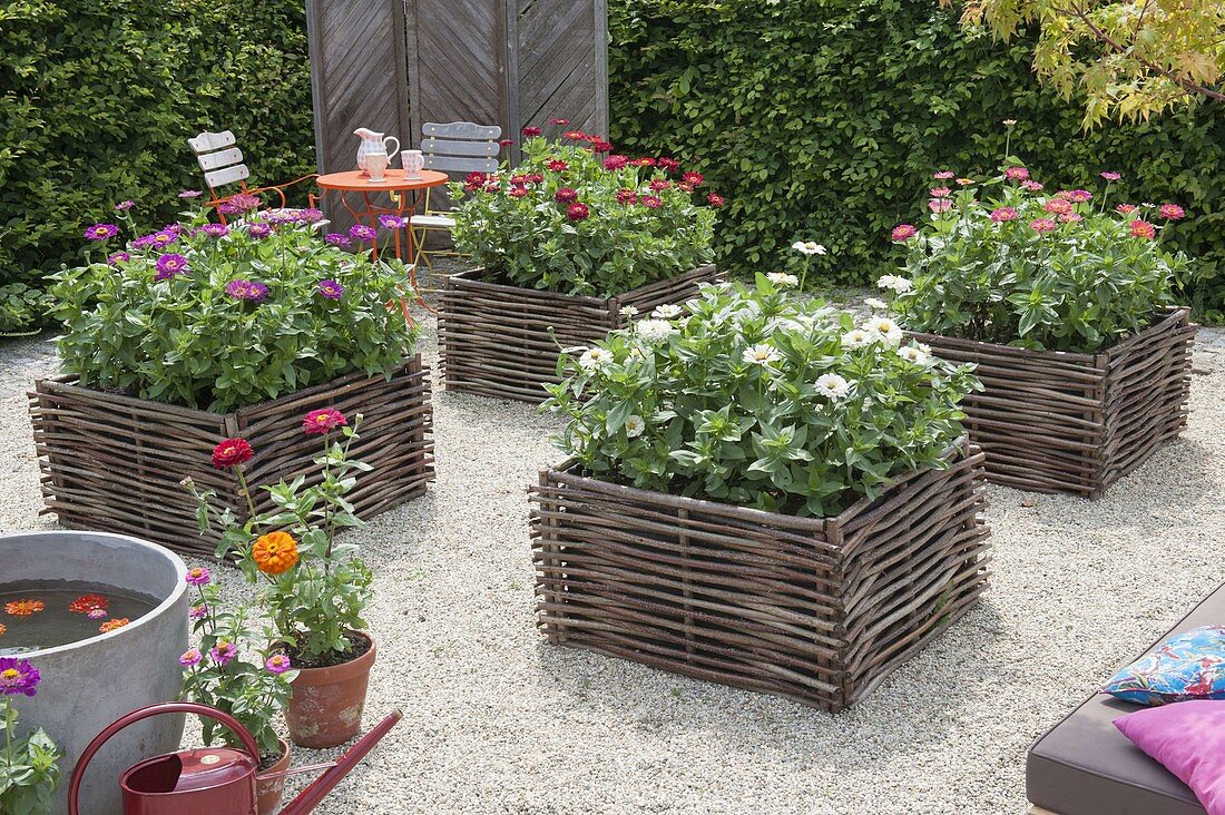 Gravel terrassse with raised beds made of hazelnut rods