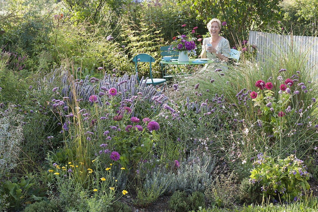 Blue-purple flower bed and seatting place in the natural garden