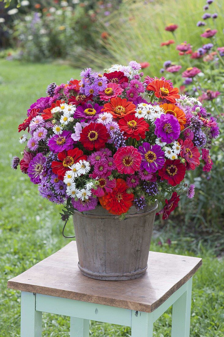 Laendlicher Strauss aus Zinnia (Zinnien), Aster (Herbstastern)