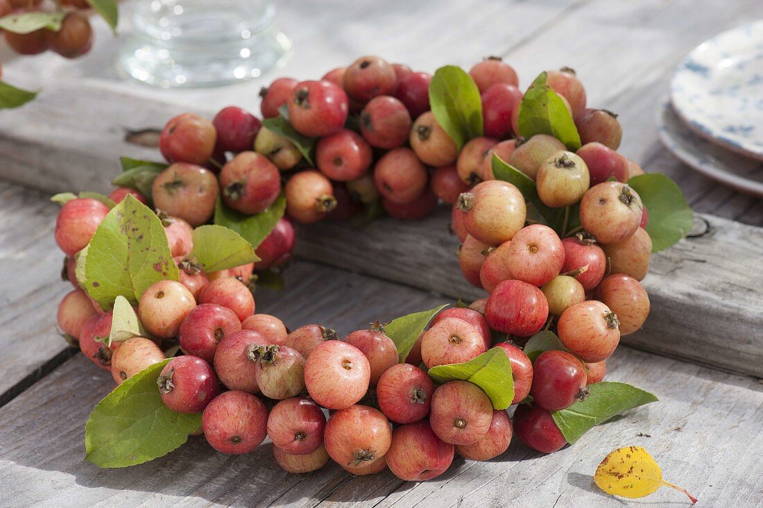 Kränzchen aus Malus 'Van Eseltine' (Zieraepfeln)