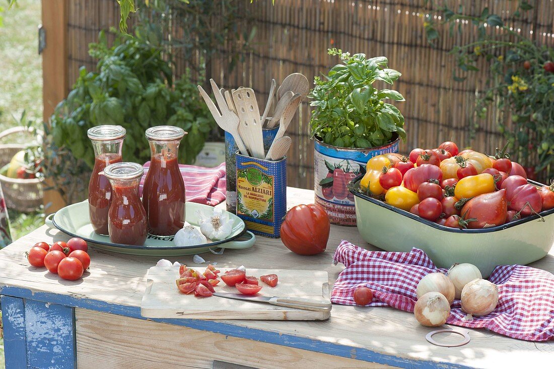 Workplace of freshly picked and cut tomatoes (Lycopersicon)