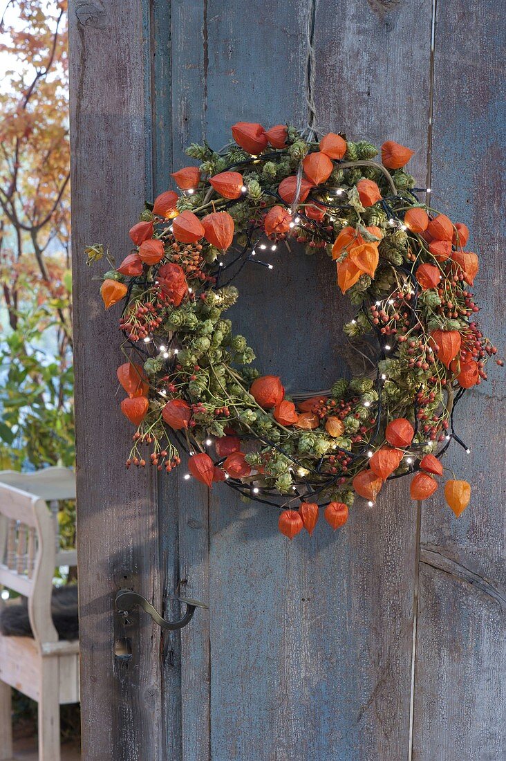 Door wreath with physalis, Humulus lupulus, Rosa