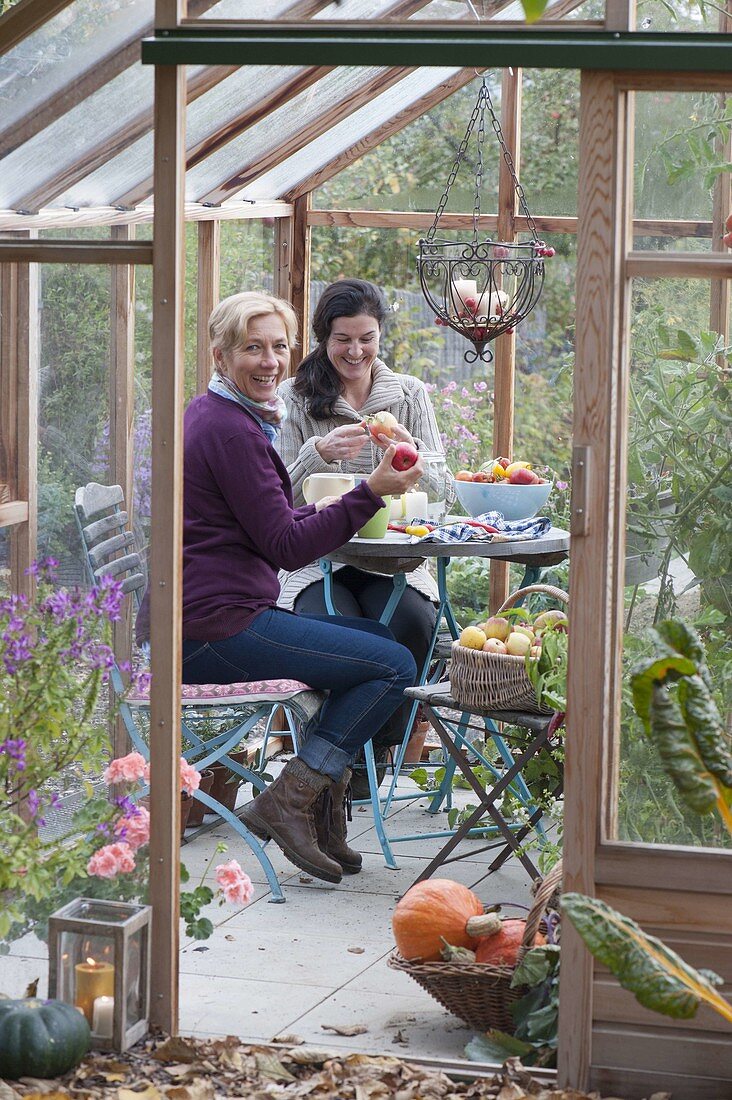 Small terrace in the greenhouse