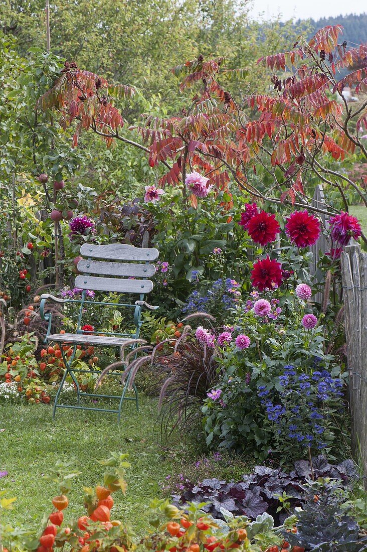 Small autumn garden with perennials and summer flowers