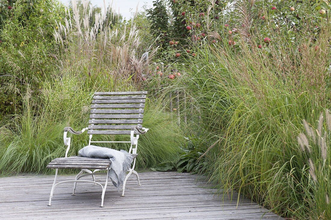 Wooden terrace with grassy bed as a screen