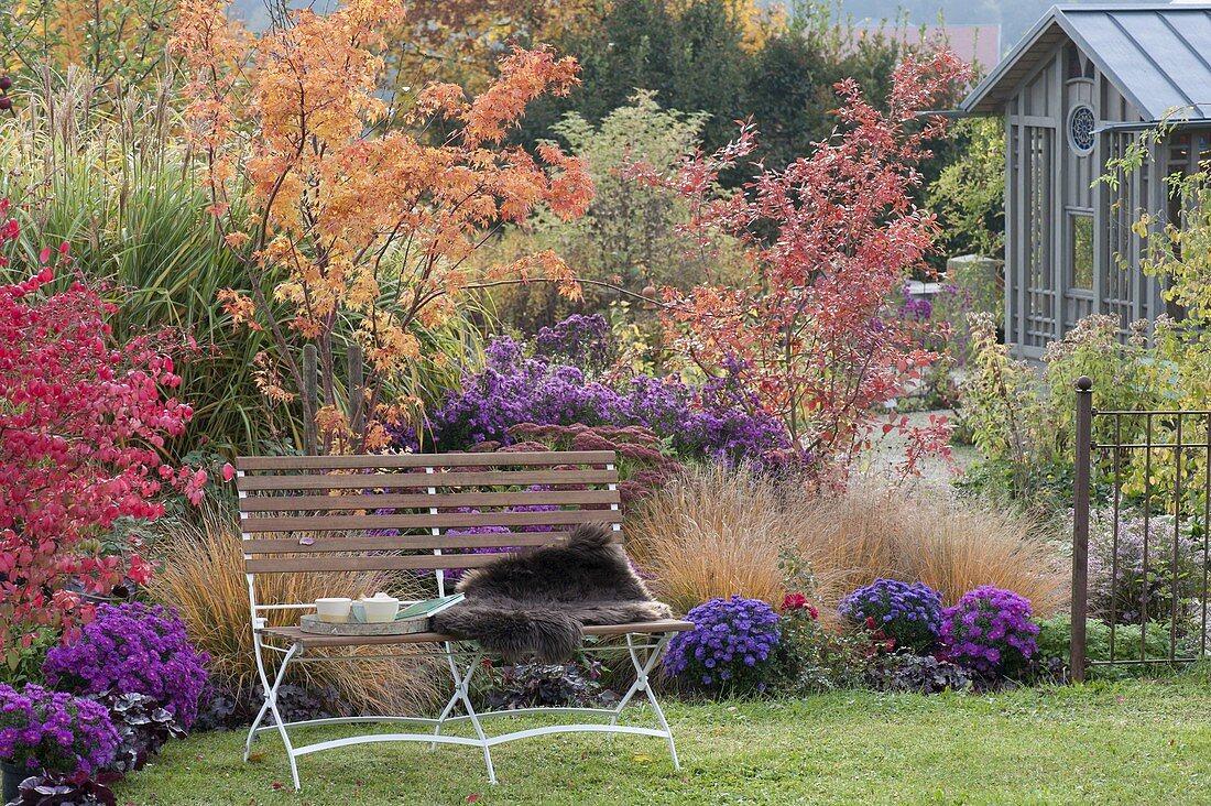 Indian summer in the autumn garden