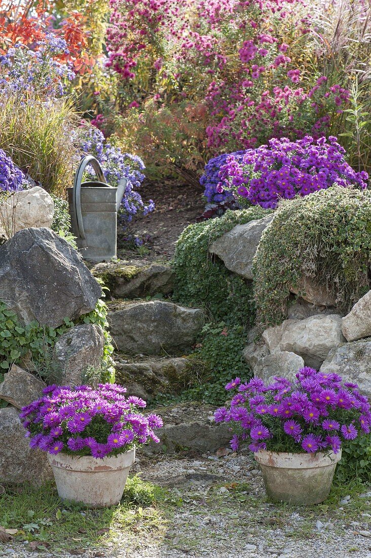 Natural stone staircase leads to the perennial garden