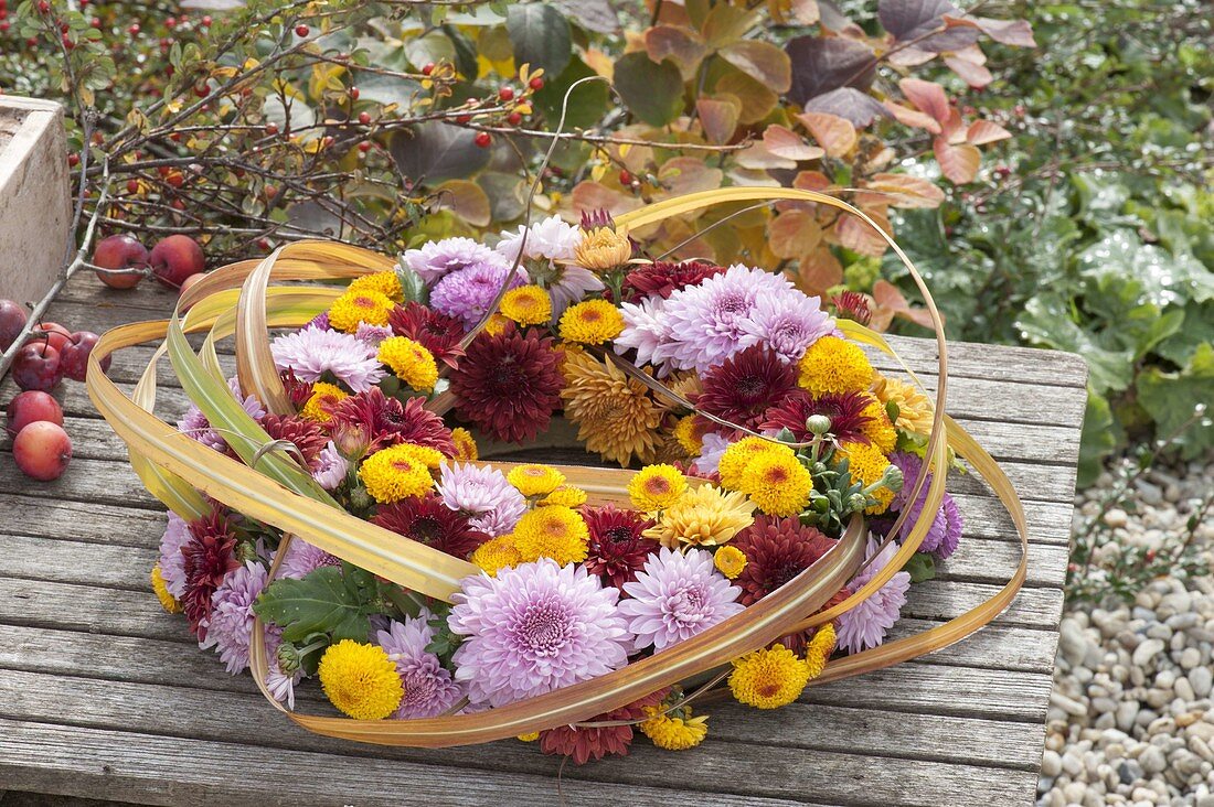 Muted wreath of chrysanthemum (autumn chrysanthemum)