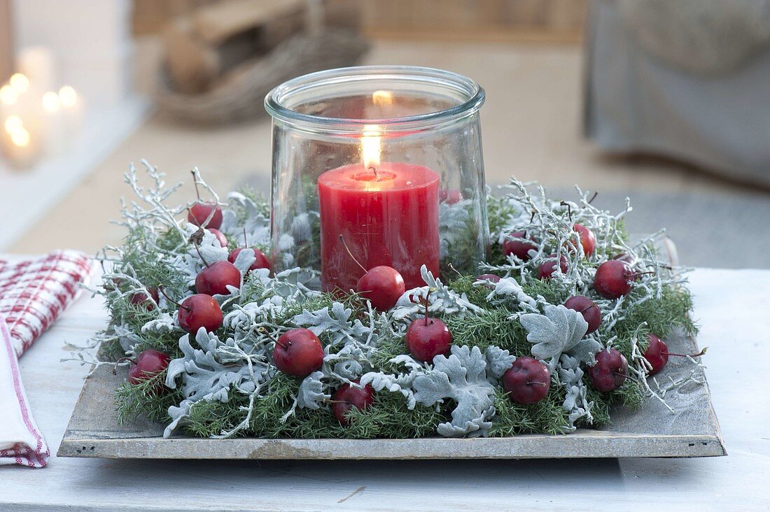 Wreath from Chamaecyparis plumosa (false cypress), Calocephalus