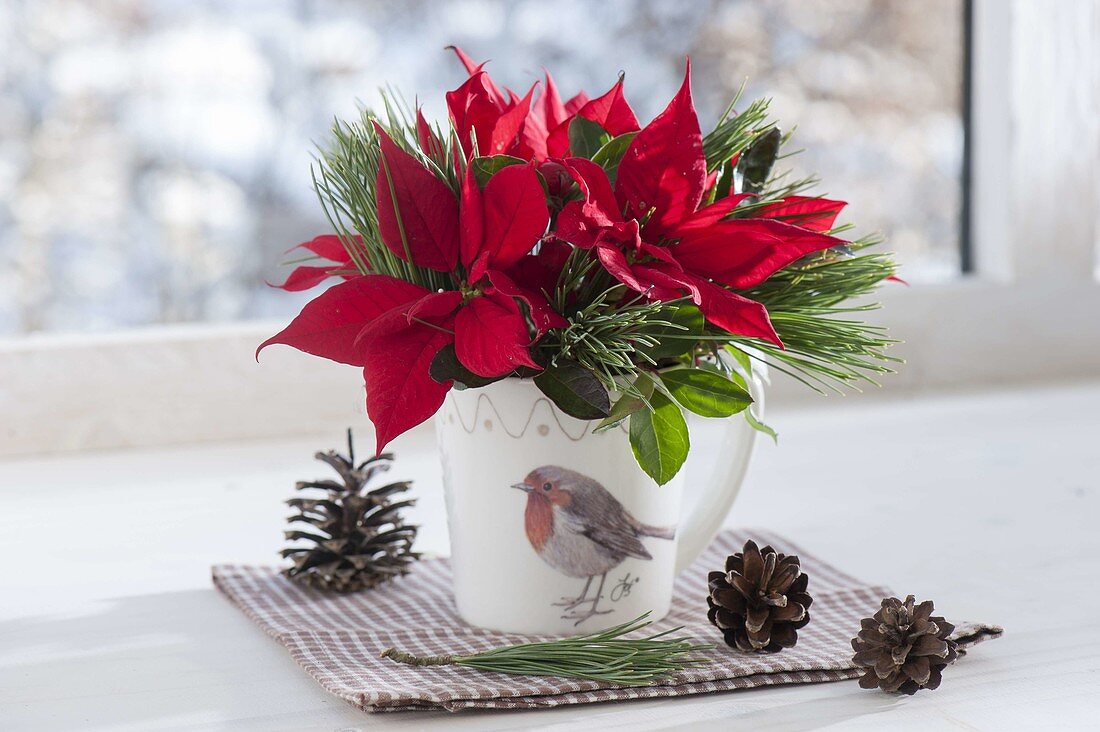 Small Euphorbia pulcherrima (poinsettia) bouquet