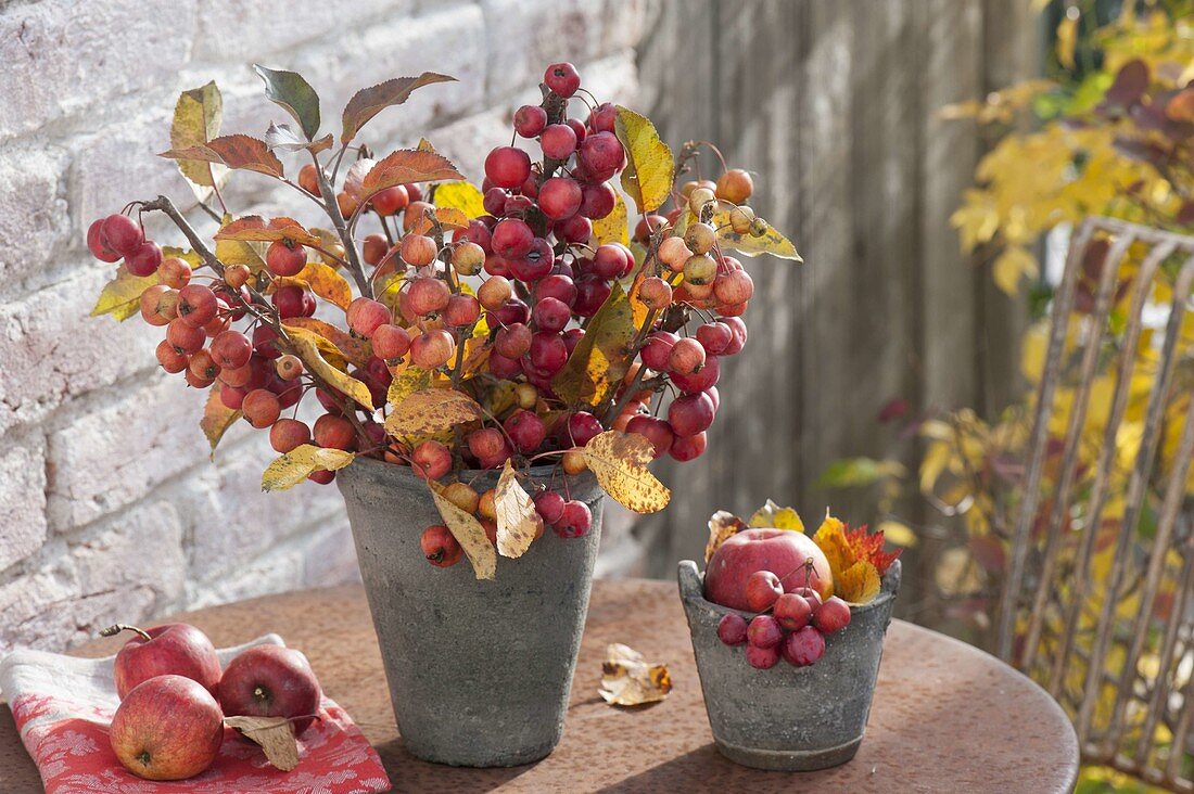 Bouquet with branches of ornamental apple (Malus), apples as decoration