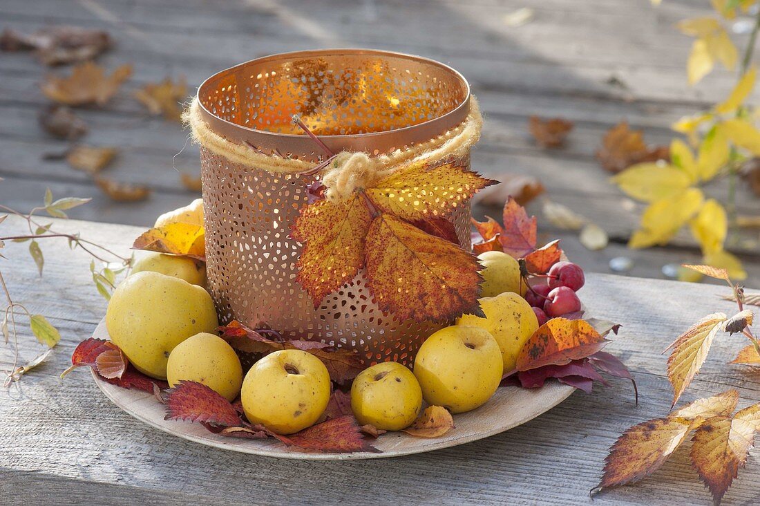 Copper lantern with chaenomeles (ornamental quince), leaves