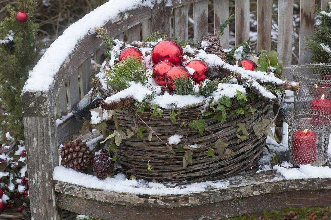 Korb mit Koniferen-Zweigen , Zapfen und roten Christbaumkugeln