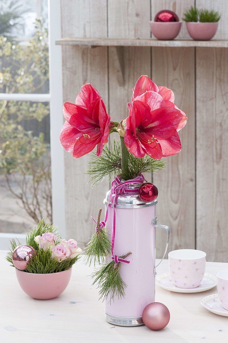 Amaryllis bouquet with pine branches in a thermos as a vase