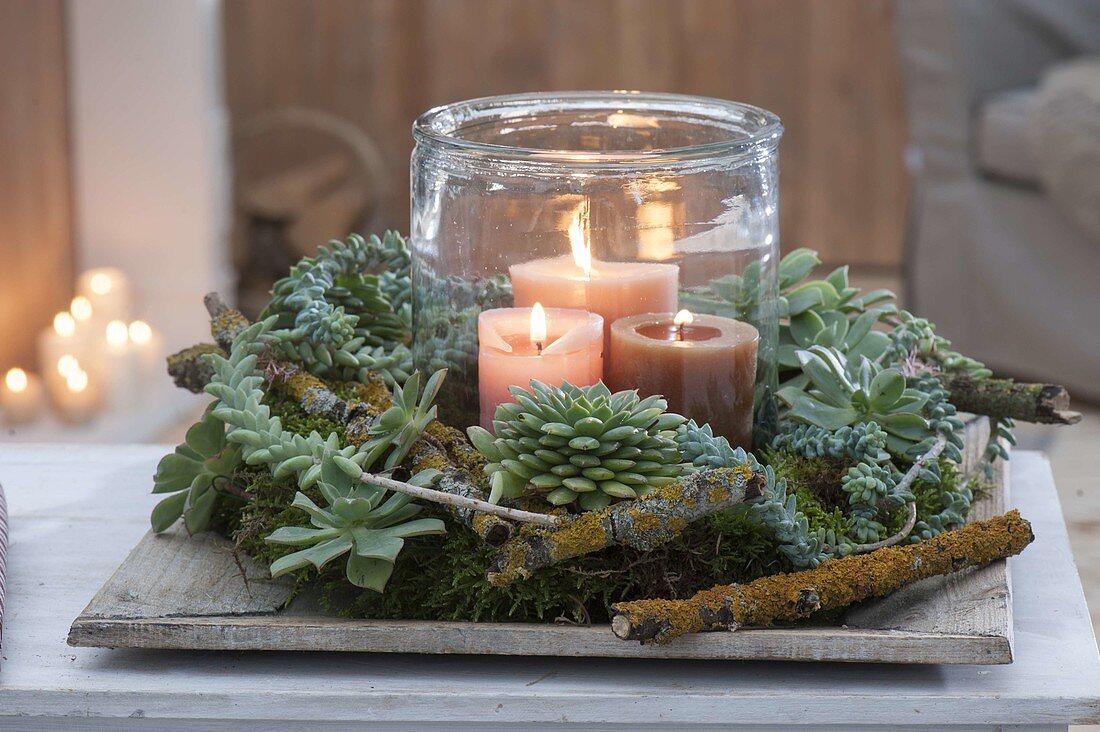 Succulent wreath of Echeveria and Sedum morganianum