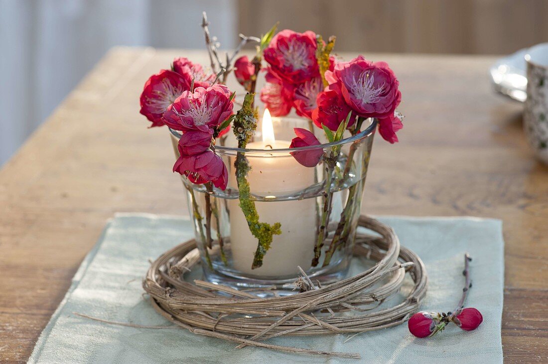 Glass as lantern with Prunus persica 'Melred' flowers