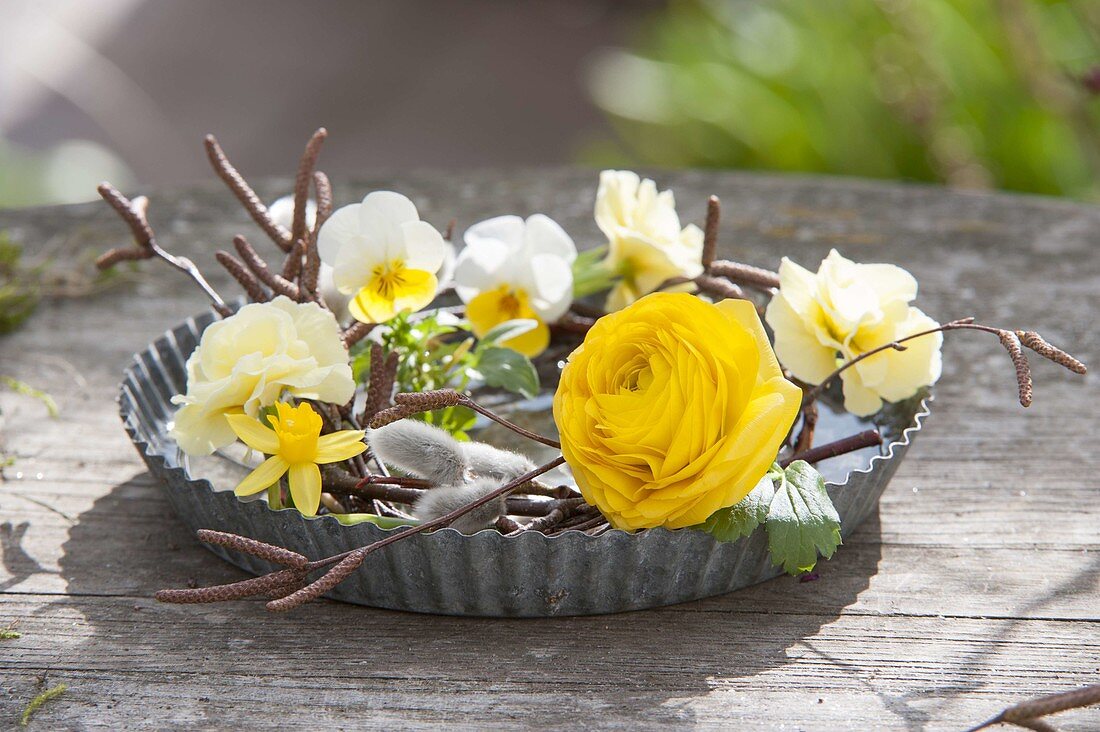 Yellow spring wreath on baking pan, birch branches, ranunculus