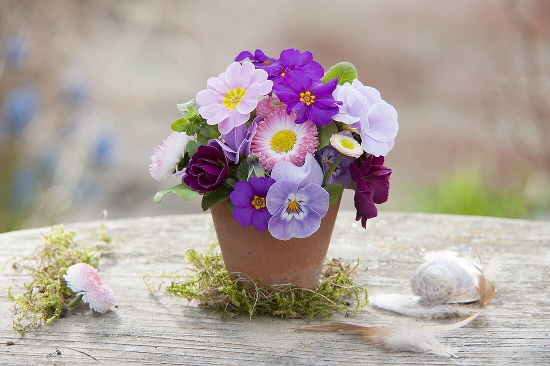 Mini bouquet in terracotta on moss, primula, viola cornuta