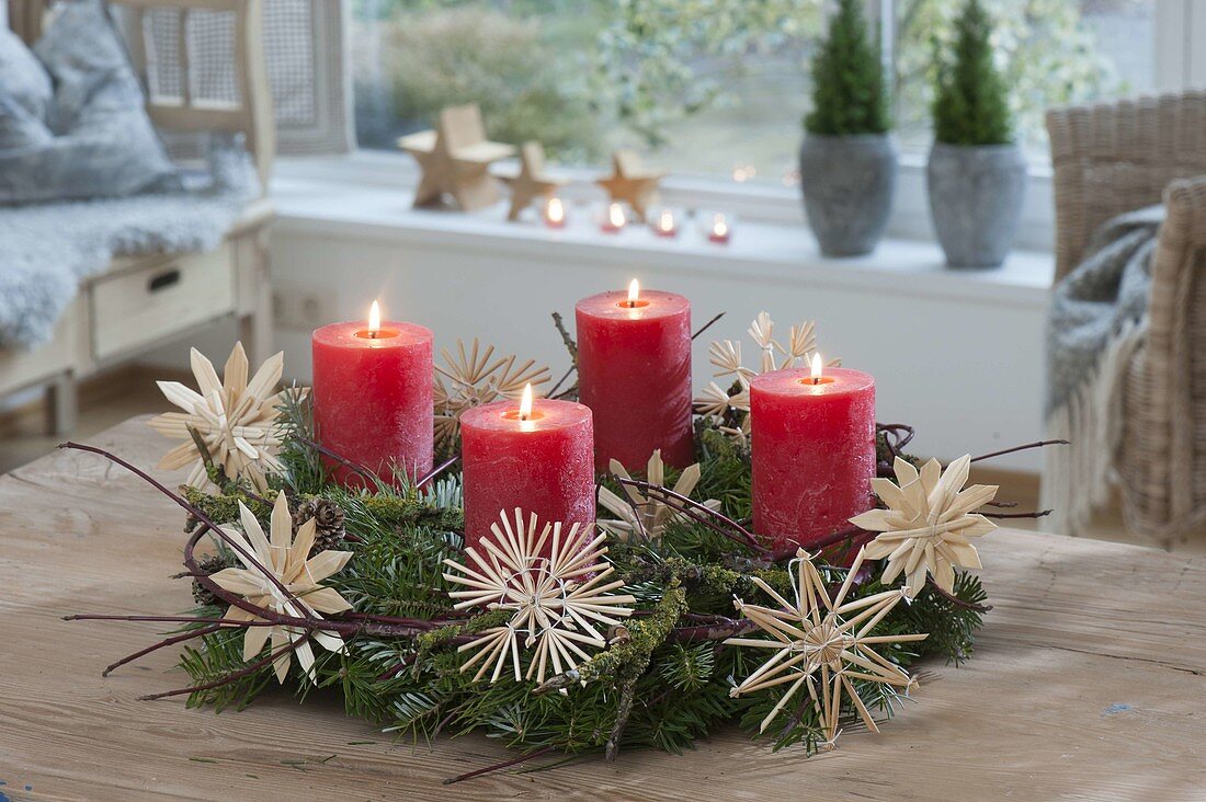 Natural Advent wreath of Abies (fir), Cornus (dogwood)