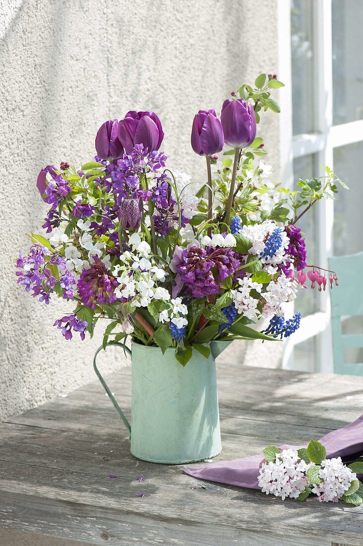 Tulipa 'Purple Prince' (Tulpen), Prunus (Kirschzweige), Viburnum