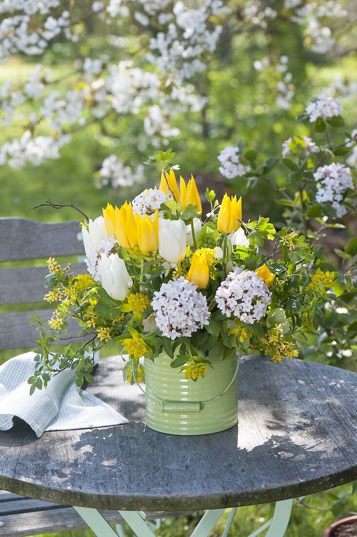 White-yellow Tulipa (tulip) bouquet, Viburnum carlcephalum