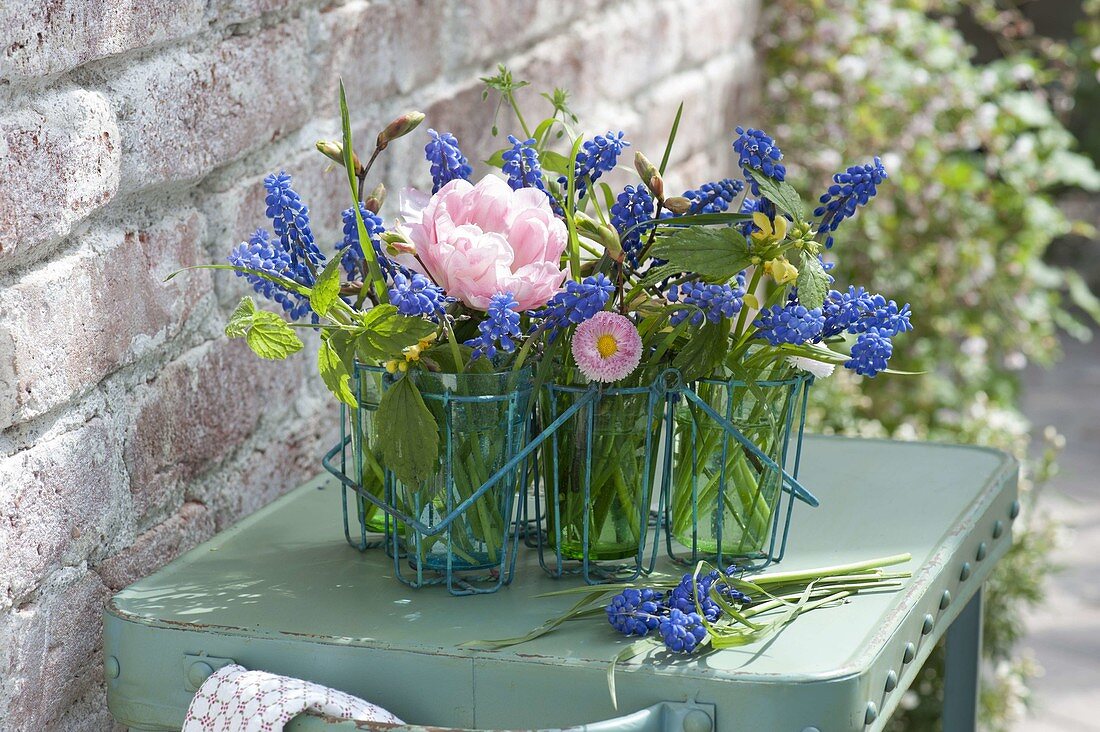 Glass with Muscari (Grape Hyacinth), Lamium (Golden Nettle)