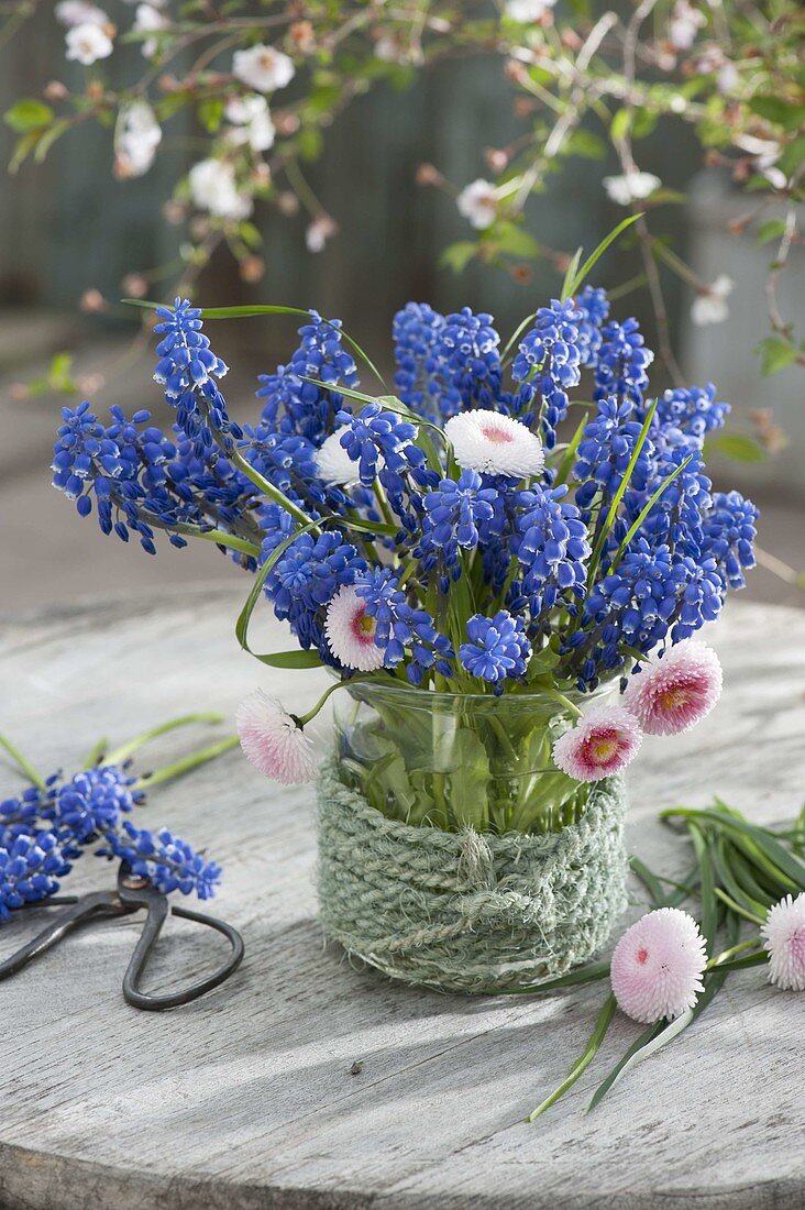 Straeusschen aus Muscari (Traubenhyazinthen) und Bellis (Tausendschön)