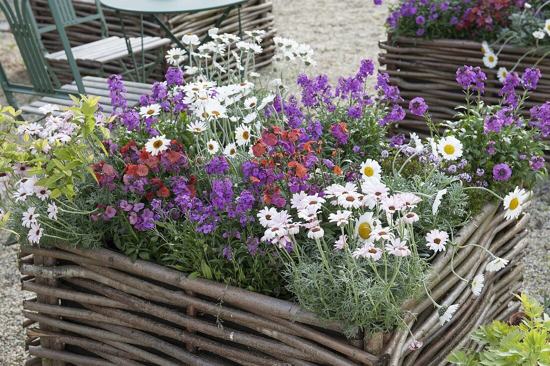 Gravel terrassse with raised beds made of hazelnut rods