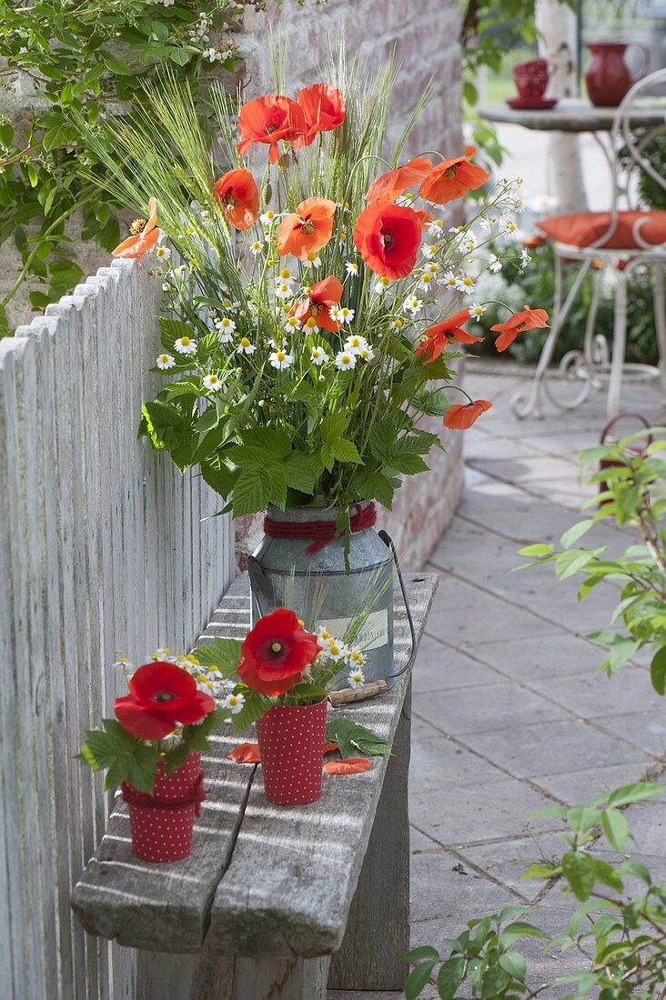 Cottage bouquets made of Papaver rhoeas (poppy), Matricaria