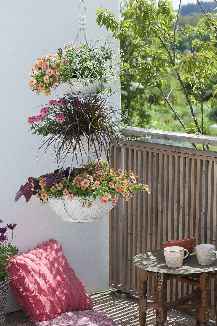 Hanging baskets étagère made of three baskets with Calibrachoa Aloha Kona 'Mango'