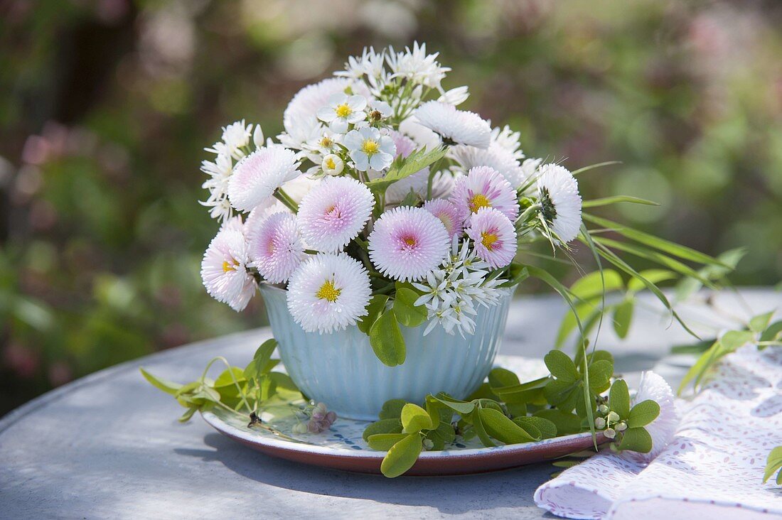 Mini bouquet in a cup as a vase, Bellis (daisies), wild garlic