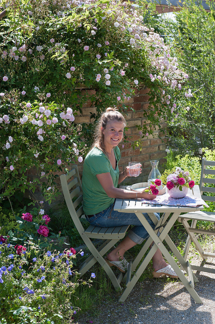 Small seat with Rosa 'Paul's Himalayan Musk'