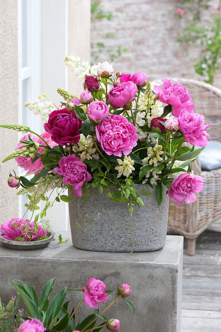 Lush bouquet made of Paeonia (peony), Lupinus (lupine)