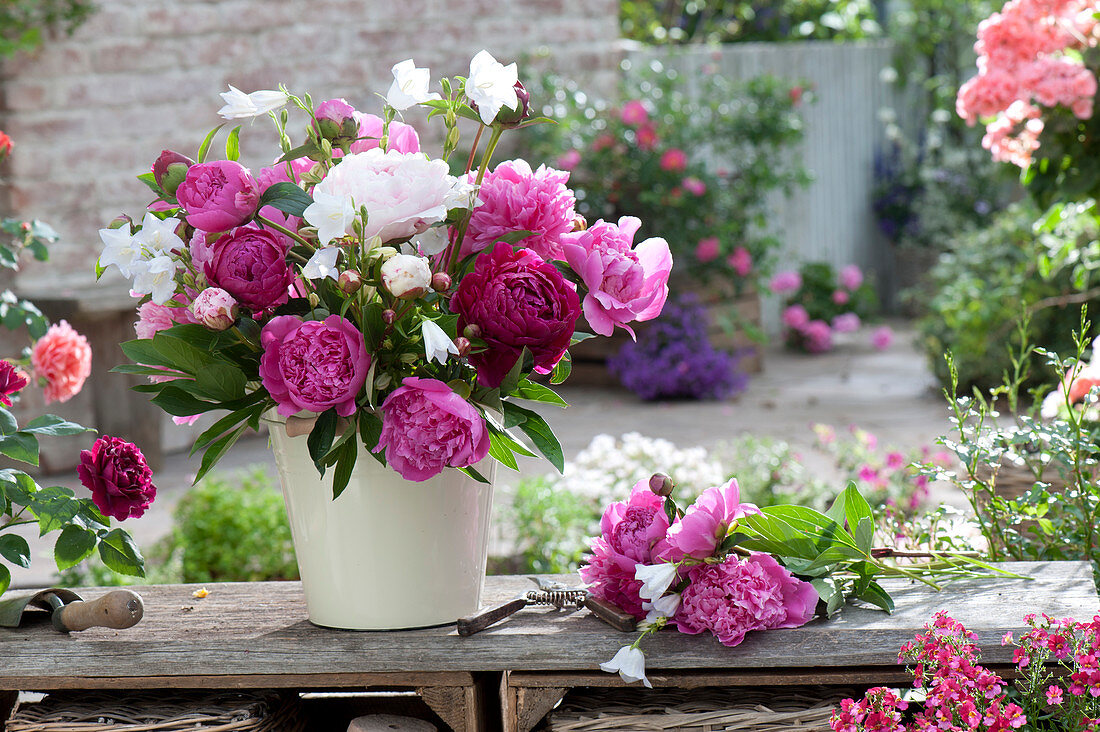 Fruehsommerstrauss aus Paeonia (Pfingstrosen) und Campanula