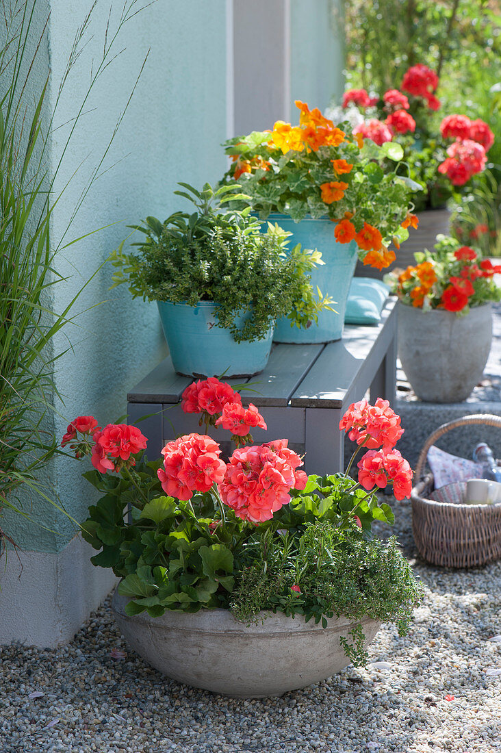 Hauseingang mit Kräutern und Balkonblumen