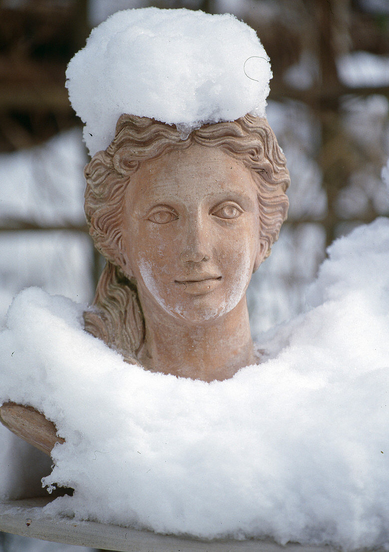 Snowy bust