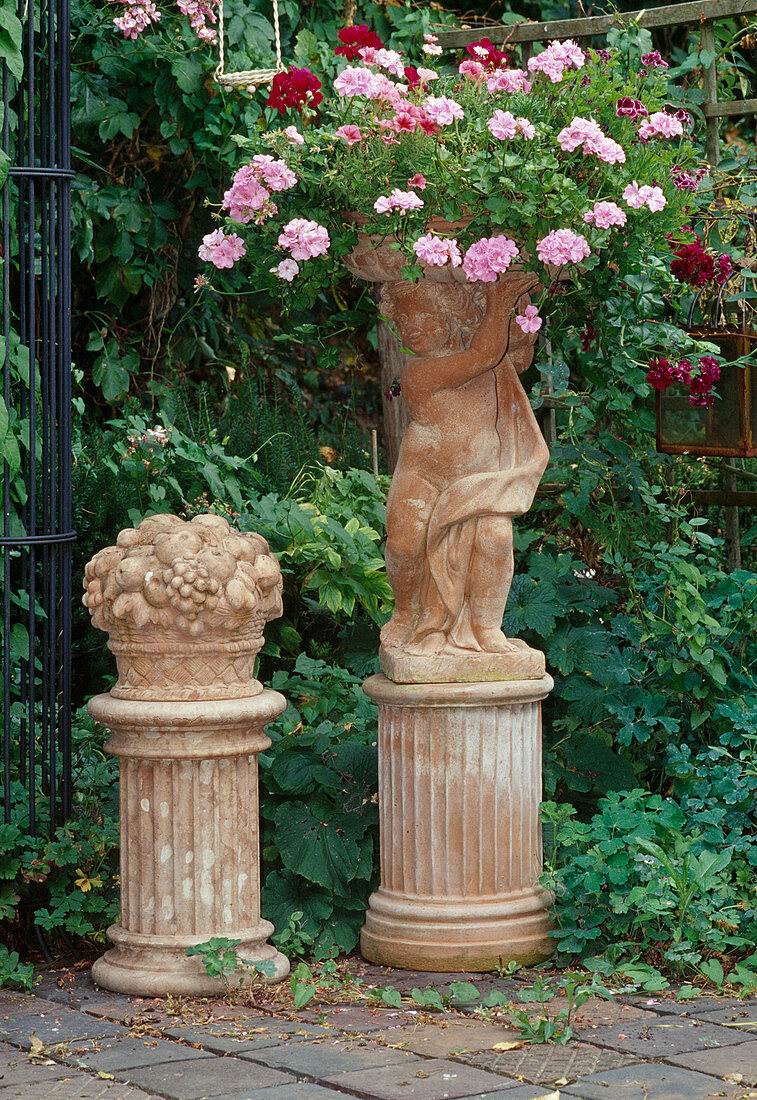 Impruneta terracotta: girl figure, fruit basket on columns, bowl planted with Pelargonium peltatum (hanging geranium)