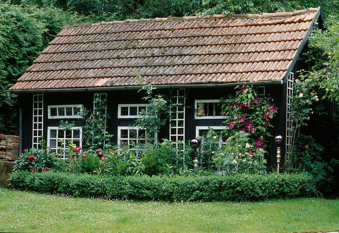 Garden house with pinks (climbing roses, clematis, paeonia)