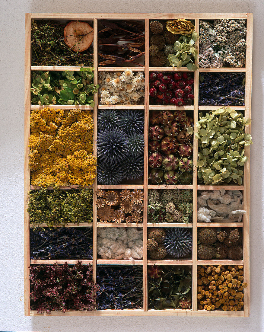 Finished seed tray with various dried plants