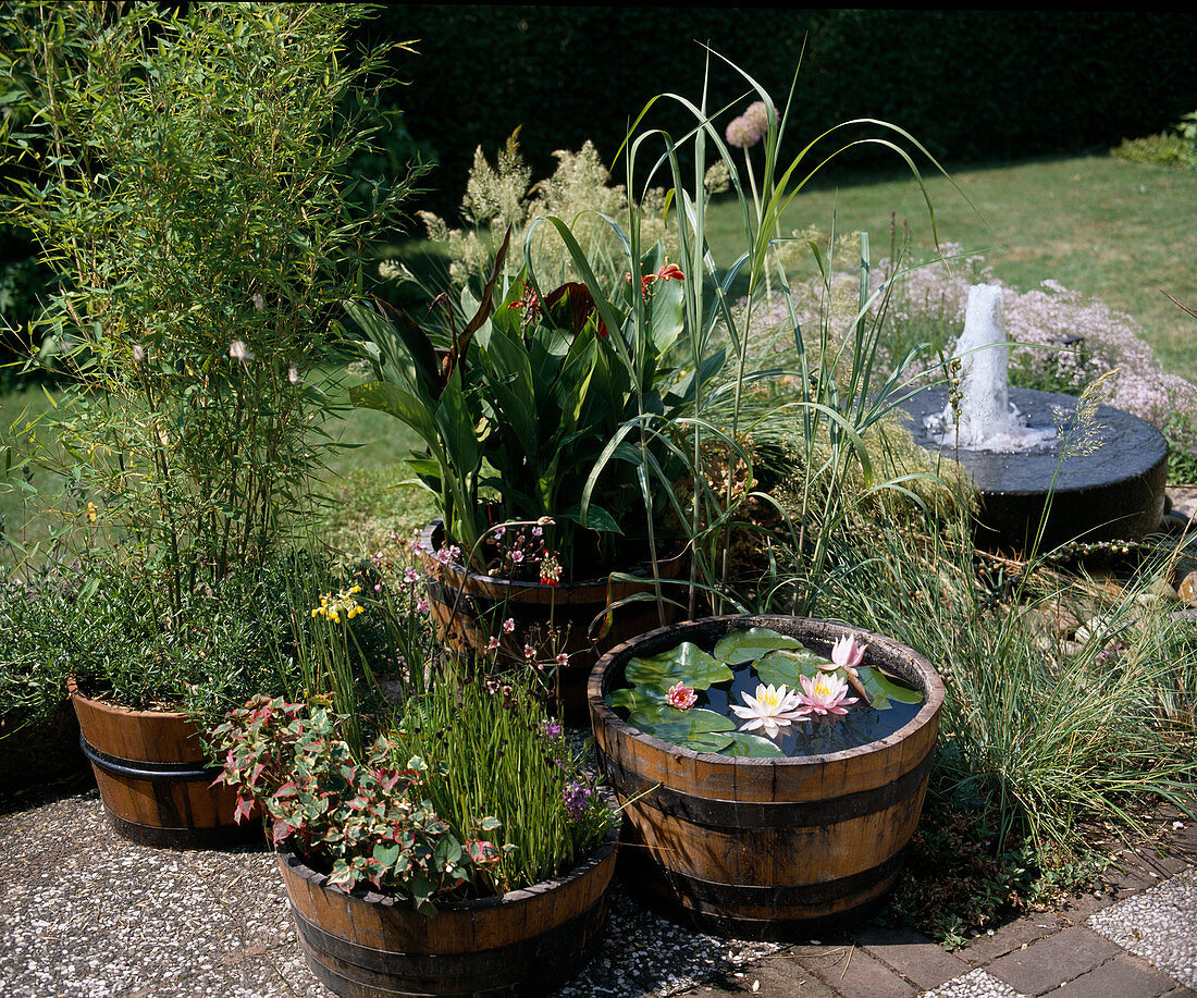 Planted wooden barrels on terrace