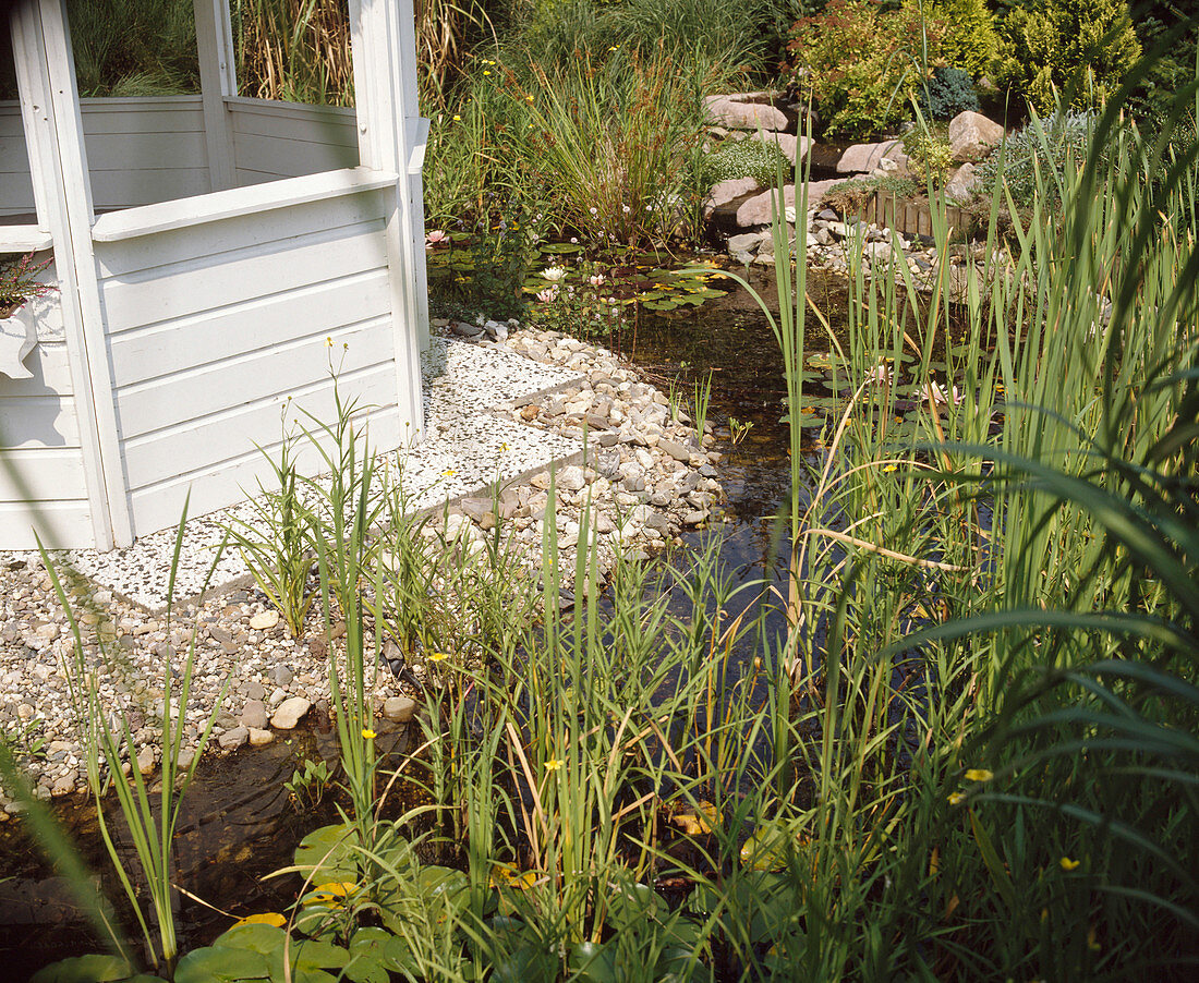 Brook with pavilion