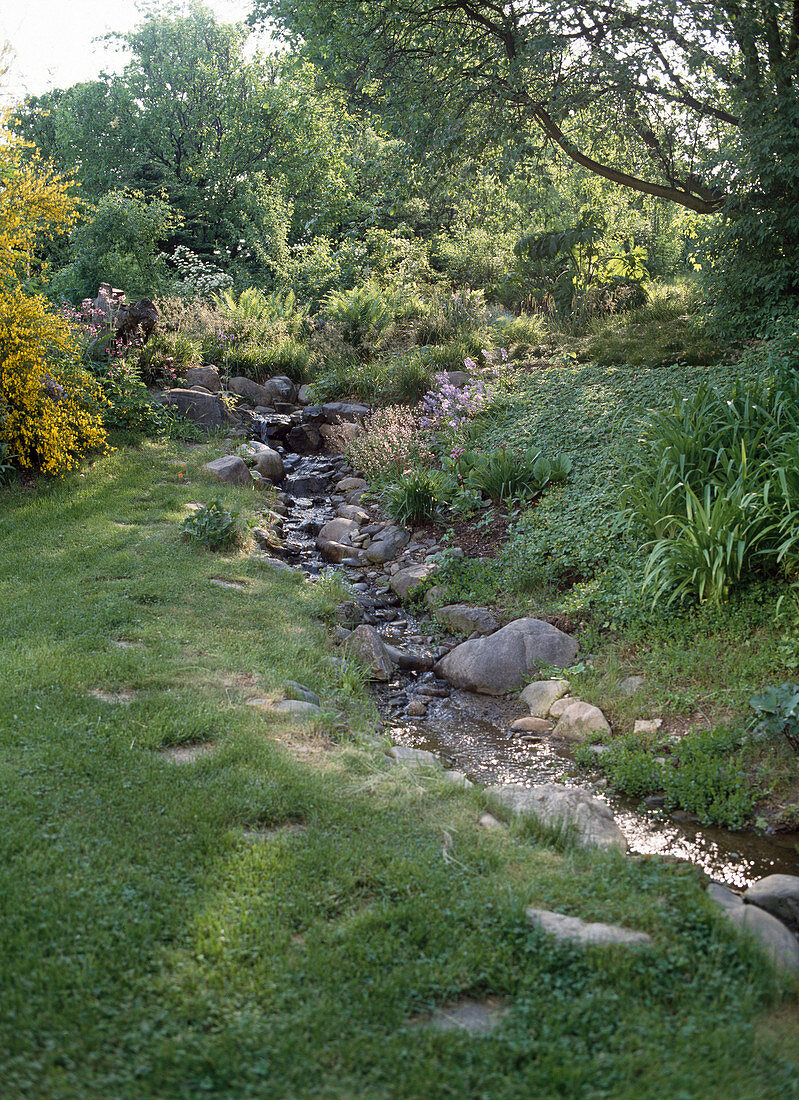 Bachlauf