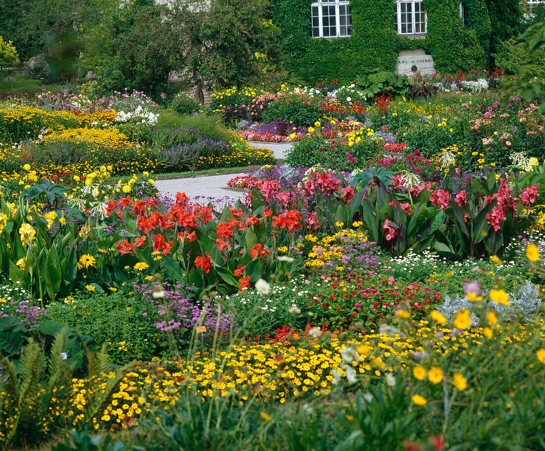 Garden with summer flowers