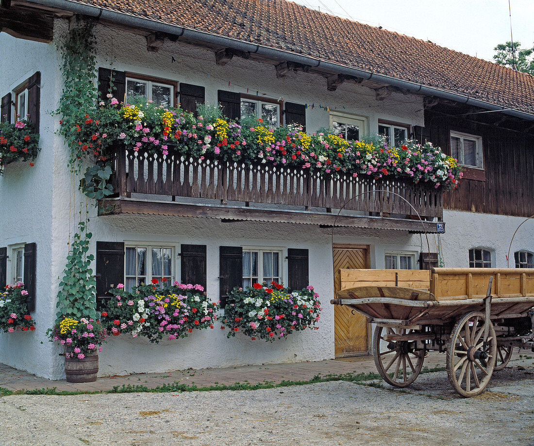 Upper Bavarian house with balcony ornaments