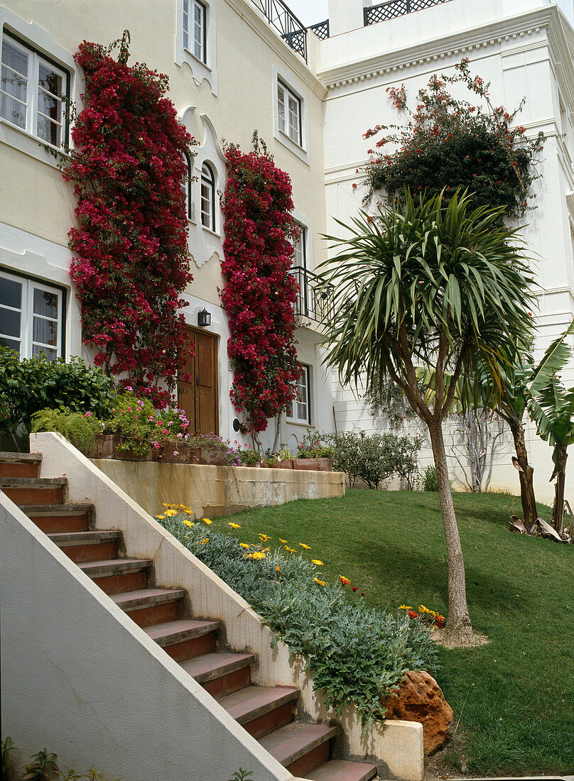 Front garden of a villa in Portugal