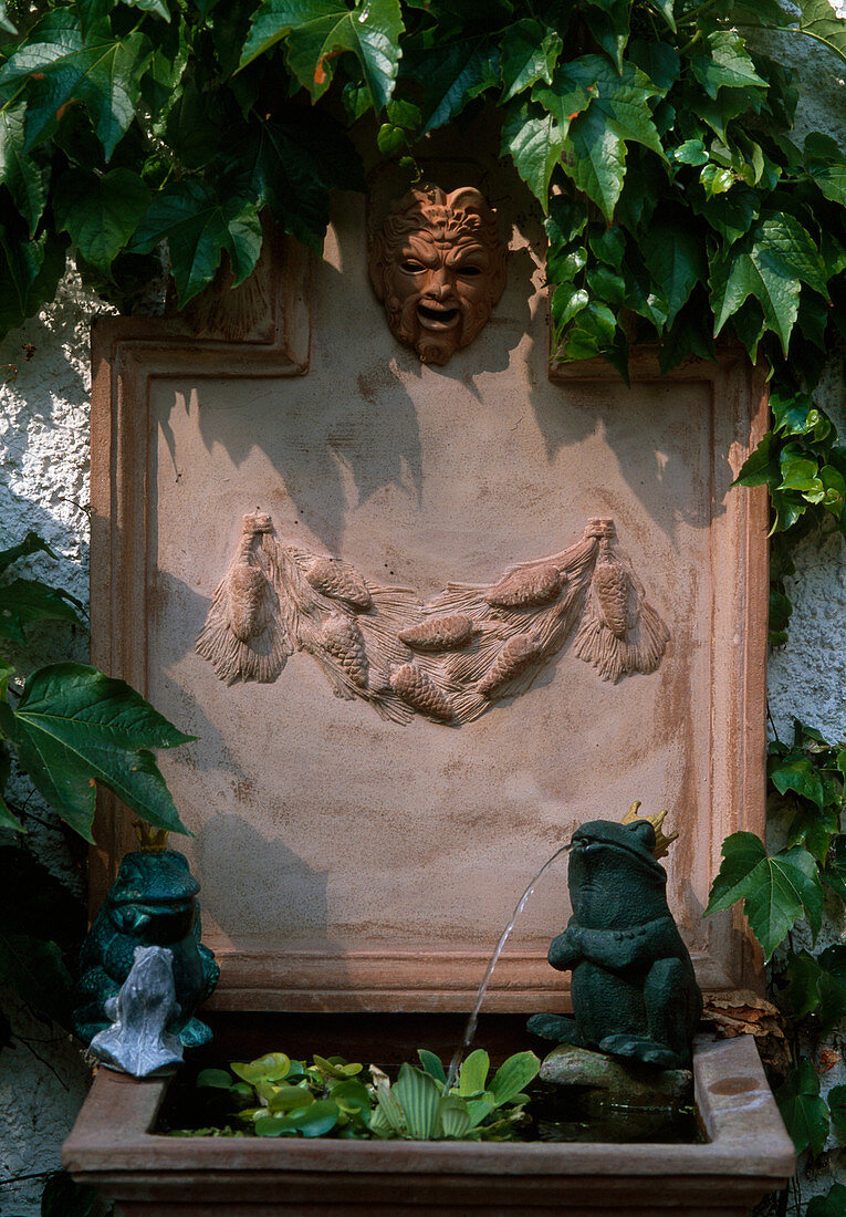 Fountain with frog king as gargoyle, Eichhornia (water hyacinth)