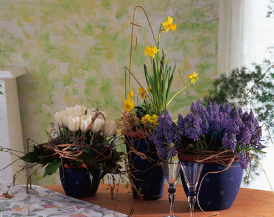 Spring arrangement with tulips, grape hyacinths and daffodils