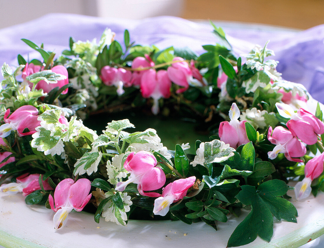 Plate wreath of box, white Hedge maids and flowers from the bleeding heart